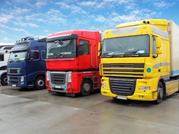 Antalya Topağacı Nakliye